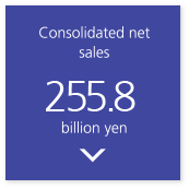 Consolidated net sales 255.8 billion