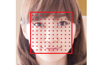 Facial Recognition