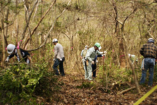 Forest Conservation Activity at "GLORY Yumesaki Forest"