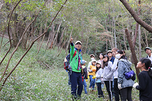 Tracing insects and small animals in a forest