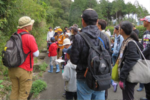 Tracing insects and small animals in a forest