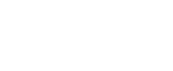 INTEGRATED REPORT 2025