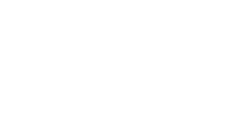 INTEGRATED REPORT 2025